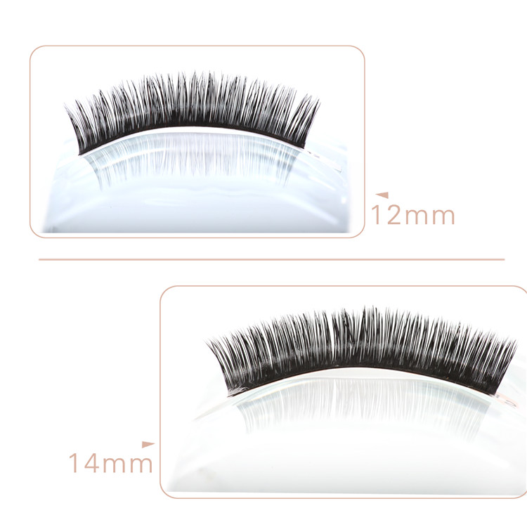 Russian Volume Mink Eyelash Extensions Wholesale Price PY1